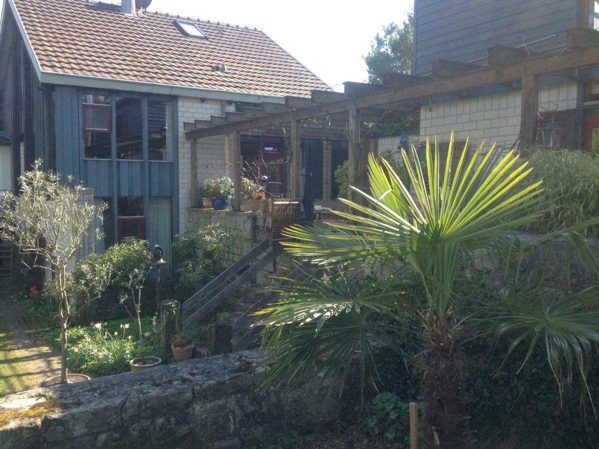רדולפצל אם בודנזי Ferienhaus Am Litzelberg Fwo-194-2024 מראה חיצוני תמונה