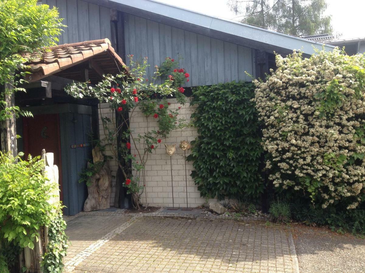 רדולפצל אם בודנזי Ferienhaus Am Litzelberg Fwo-194-2024 מראה חיצוני תמונה